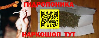 apvp Кандалакша
