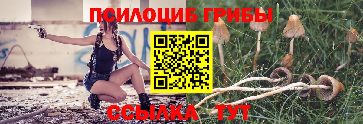 Псилоцибиновые грибы Cubensis Кудрово