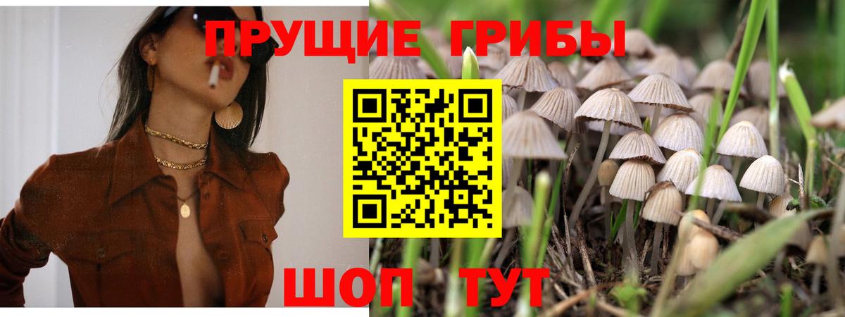 Галлюциногенные грибы прущие грибы  Вход с VPN  Кудрово 